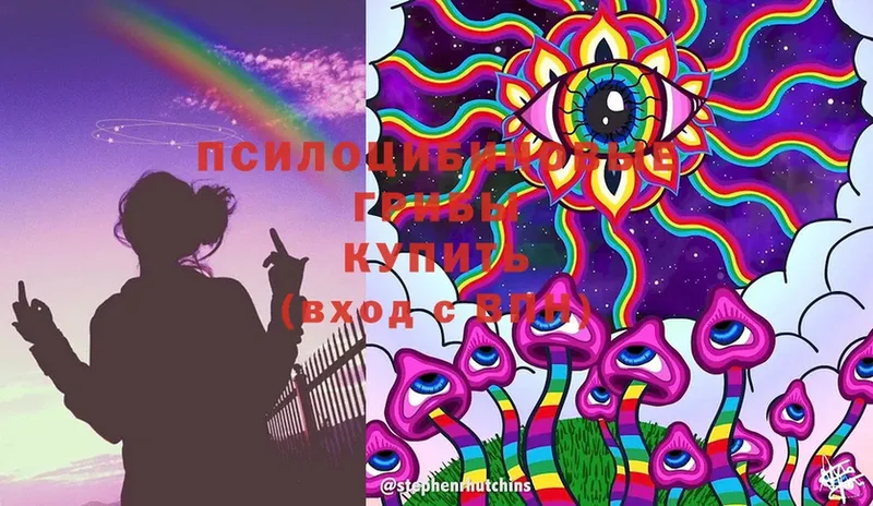 Псилоцибиновые грибы Cubensis  hydra как зайти  Ковылкино 