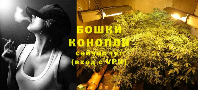 Бошки марихуана White Widow  Ковылкино 